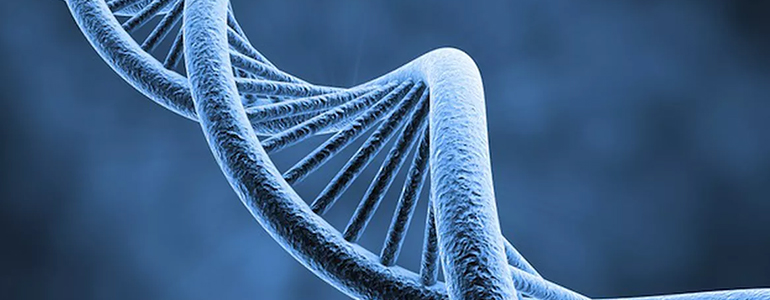 ДНК Mycoplasma hominis, качественно