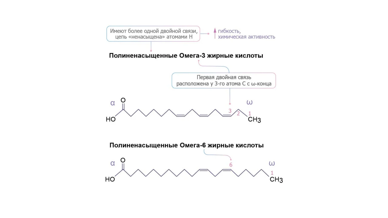 Таблица 1.jpg