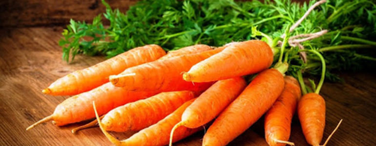 Аллерген: Морковь IgE, F31