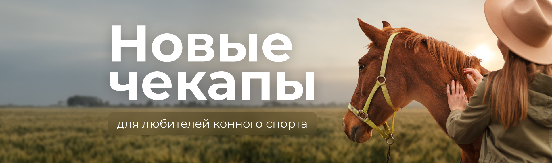 Новые чекапы для любителей конного спорта!