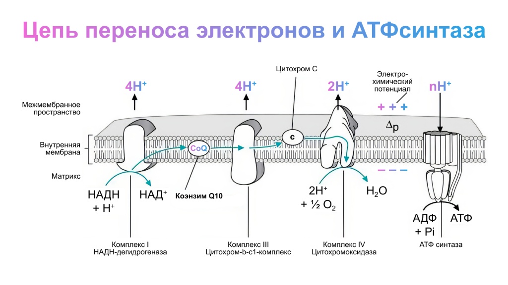 Схемы - 61.jpg