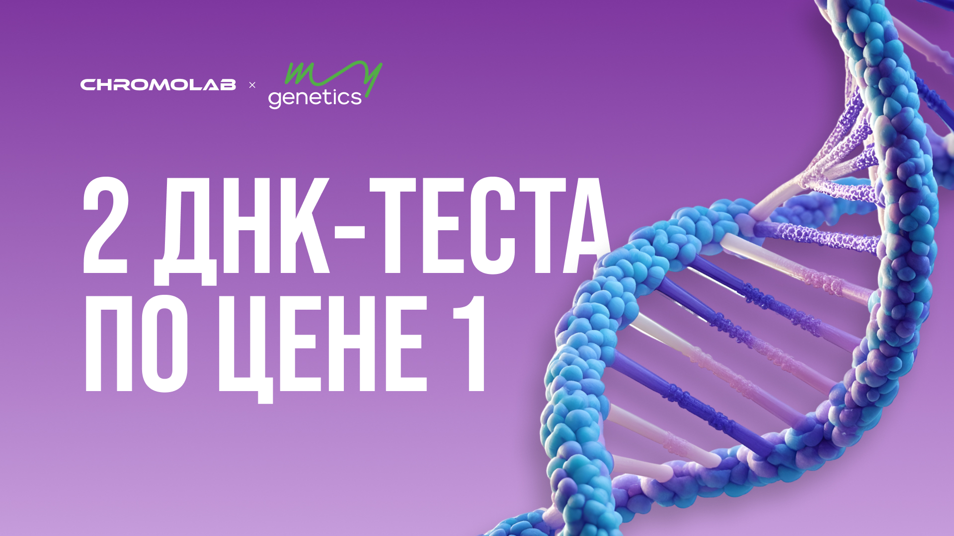 1920x1080 (16).jpg 1920x1080 (16).jpg