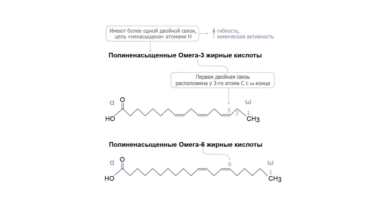 Таблица 1.jpg
