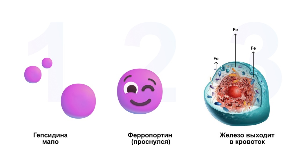 Схемы - 64.jpg