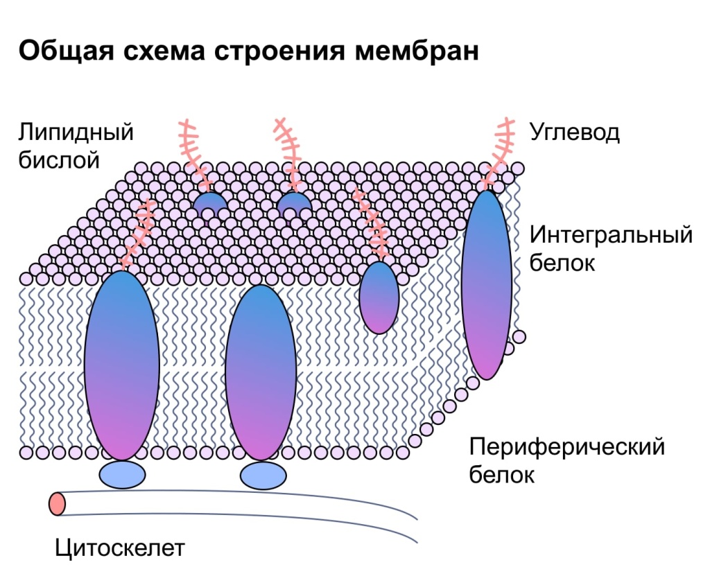 Схемы - 53.jpg