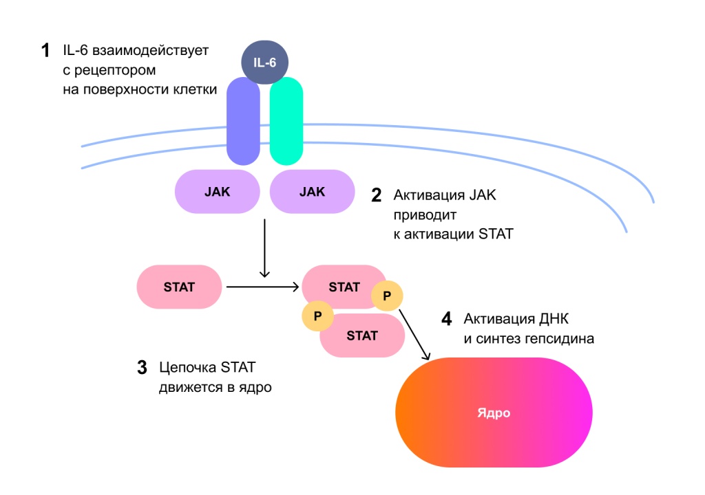 Схемы - 65.jpg