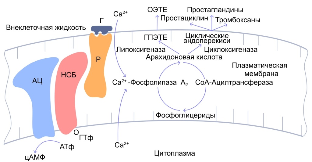 Схемы - 54.jpg