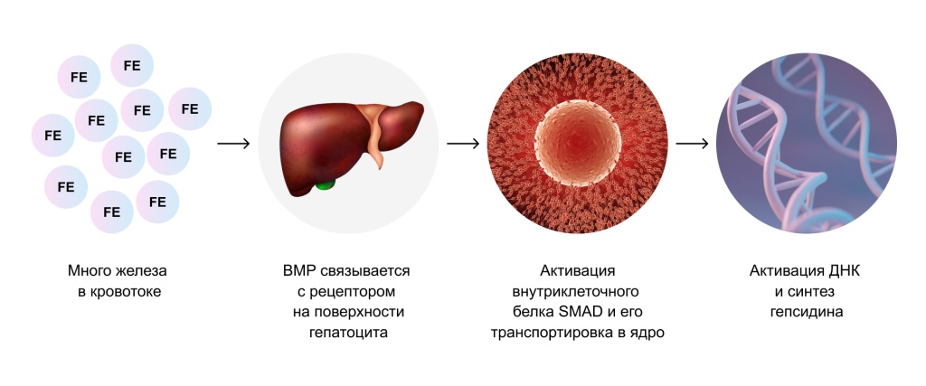 Схемы - 66.jpg